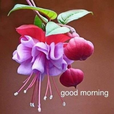 swati_1309's profile picture. music=life
crazy about 1D ,biber feaver,just love little mix ,i am i ,follow =follow back .prout to be an Indian.