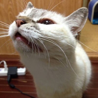 まりえさんのプロフィール画像