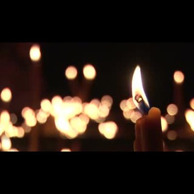 paralalibertad's profile picture. 