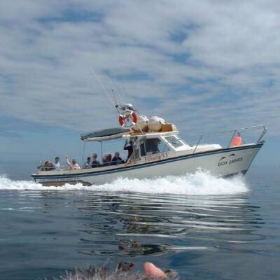 If visiting the beautiful island of Barra why not take a wildlife spotting trip, or a trip to one of the deserted neighbouring islands.