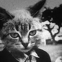 Кот Путина (@vvputin_cat) 's Twitter Profile Photo Кот Путина (@vvputin_cat) 's Twitter Profile Photo