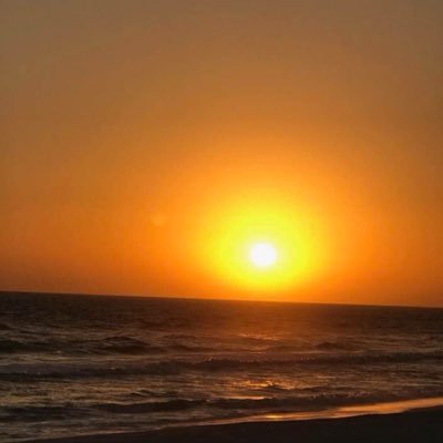 knbky's profile picture. Proud mom of 3 Berkeys: Davidson 2021-PhD Organic/ BioChem GT , UWMadison2023, UMich2025