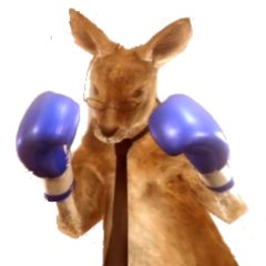 Gen-modified kangaroo. Former MMA, looking for opportunities to make $ -- I've made mistakes but Im trying to do better and be a better dad. Need another chance