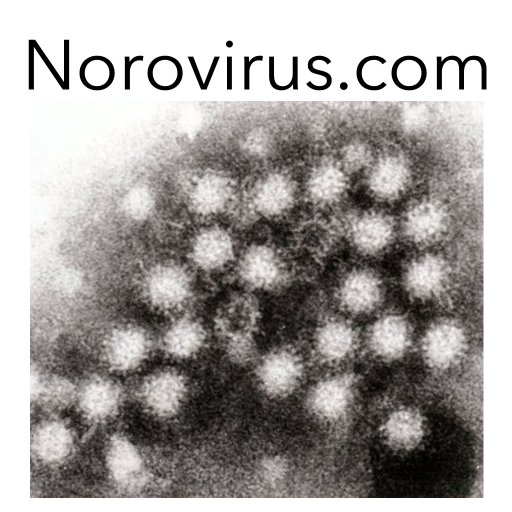 noroviruscom's profile picture. 