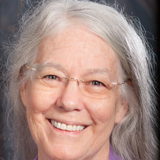 Judy Meadows, author of spicy, sassy contemporary romance published by The Wild Rose Press. https://t.co/i4cGscu0zB