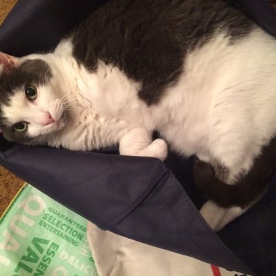 RebeccaArntz's profile picture. 