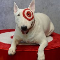 John Miller (@miller5john) 's Twitter Profile Photo John Miller (@miller5john) 's Twitter Profile Photo