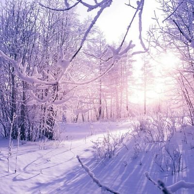 kintana_andrez's profile picture. Mensajes divertidos para la vida, Messages for life