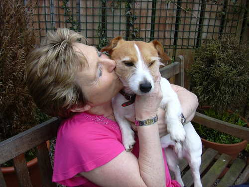 kathydavison's profile picture. Lecturer in college in N.Ireland .Anatomy and Physiology and Animal behavior. Online business dedicated to Dogs