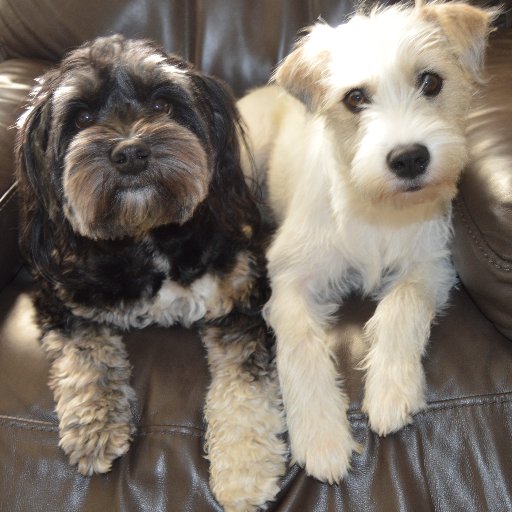 Born Lorain, OH, USAF B-52 EWO, SEA. VFW. Retired TX Atty. Married to NP. Dem, Environment; Women's Rts; Animal Rts; critters: Bogey, Lexi & Cooper.