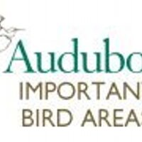 Important Bird Areas (@audubonibas) 's Twitter Profile
