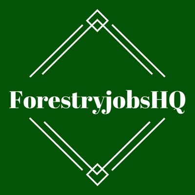 Your resource for information and topics about forestry and jobs in the forest sector. #forestryjobshq #forestry #forestryjobs #forester #forestengineer