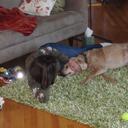 Sharon Lake - @slakeybob - Twitter