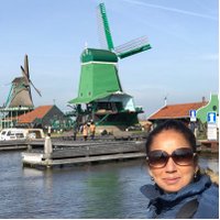 Anne Pinto-Rodrigues (@noroadsbarred) 's Twitter Profile