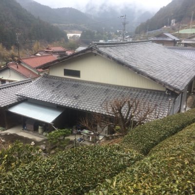 古民家で田舎暮らし サヤエンドウ初収穫です タネからの園芸はやはり嬉しいものです 岐阜県だから 春蒔きしましたが 周りの畑は秋蒔きされていました サヤエンドウ 畑 野菜 収穫 春野菜 園芸 ガーデニング ガーデニング大好き 古民家で田舎暮らし サヤエンドウ初収穫です タネからの園芸はやはり嬉しいものです 岐阜県だから 春蒔きしましたが 周りの畑は秋蒔きされていました サヤエンドウ 畑 野菜 収穫 春野菜 園芸 ガーデニング ガーデニング大好き