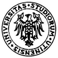 DISG@uniud (@lawuniud) 's Twitter Profile
