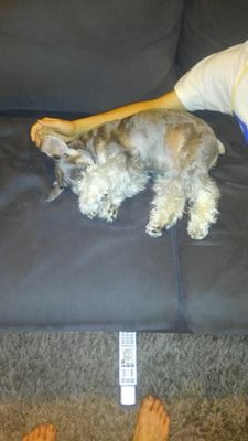 kosei_1116's profile picture. おざわこうせい。