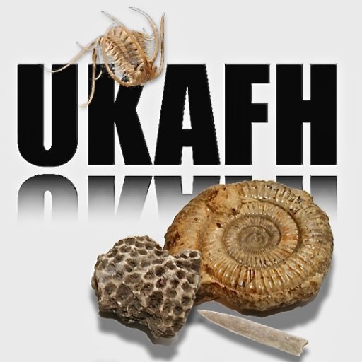 Welcome to UKAFH The UK's number one family friendly fossil hunting club. Participation, Education & Conservation. JOIN NOW https://t.co/31ubQQ8hap