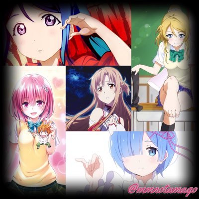 モモのたまごさんのプロフィール画像