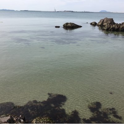 sawataku1210's profile picture. 