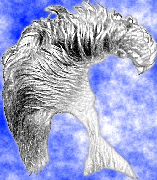 MrPeco's profile picture. Just looking for a creative outlet that will be intelectually stimulanting.  Hi, I'm Mike.