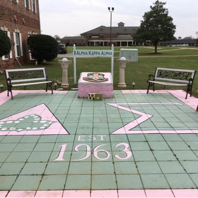 Chartered on March 23, 1963, We are the d'IVY'ne ΔΣ Chapter of Alpha Kappa Alpha Sorority, Inc. here on the campus of Stillman College. *Skeeeeeee-Weeee*