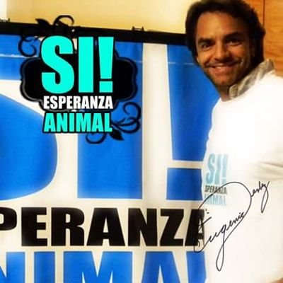 Coalición Si! Esperanza Animal de activistas, comprometidos con la defensa de los animales no humanos 
Canal YouTube
https://t.co/ItHZJZIHOo