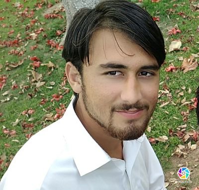 Ali53151638's profile picture. WWE MMA