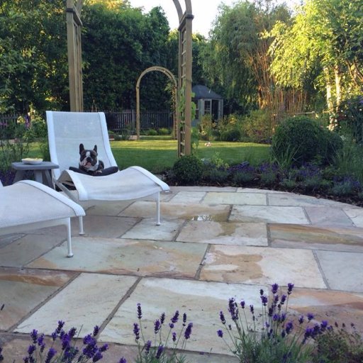 solidgroundls's profile picture. 