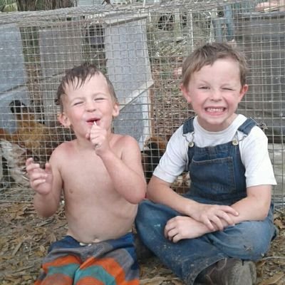 Coyotecorners's profile picture. Small but growing family farm. We raise and sell chicks, ducks and hogs. Our newest addition is Nigerian Dwarf goats! Farm fresh eggs available for sale.
