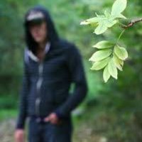 David Lightman (@davidlightman75) 's Twitter Profile