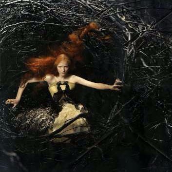 ajholmie's profile picture. I am an entrepreneur and event producer by trade, wildlife conservationist and nature child by hobby and take on any exciting challenge by lifestyle🥂