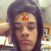 Evan Alexander (@flashgea) 's Twitter Profile