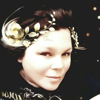 Crystal Hollibaugh π€π (@steeltosilver) 's Twitter Profile