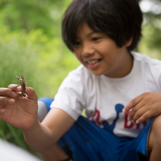 ICSDLearning's profile picture. Engaged, Empowered Learning for Everyone