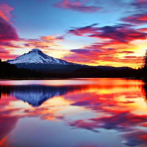 lol369RTMS19's profile picture. 