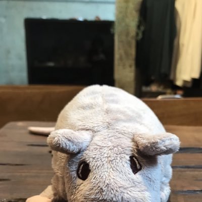 tino_kanata's profile picture. tino.kanata@gmail.com