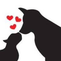 CatsandDogsForever(@Cats_Dogs4Ever) 's Twitter Profile Photo