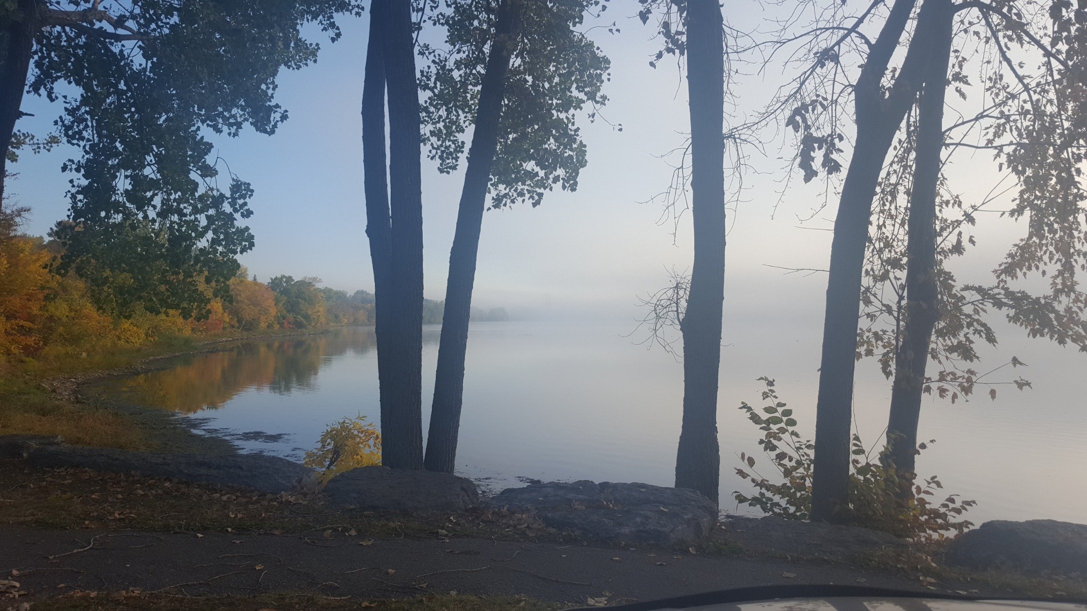 SabrinaTucci3's profile picture. 