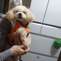 釣り好きな🎵おじさん (@stjeaydfew1pl9r) 's Twitter Profile