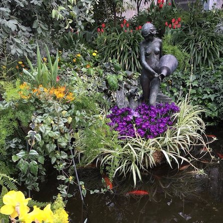 MissBotanicaF's profile picture. site has been nonfunctional to varying degrees for ages - I see the marginalized fighting to keep this place and the flight. taking a break at least.