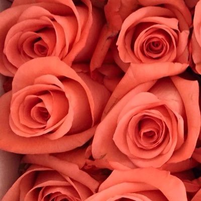 adriana59845152's profile picture. Trabajando