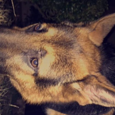 giorivera2002's profile picture. Ps4 gamer