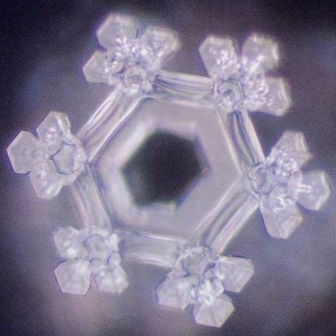 cocoshrink's profile picture. News Editor at GMA News Online