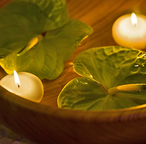 Our comprehensive services include: facials, eyebrow tints, waxing, massage, body waxing, body wraps, and much more!