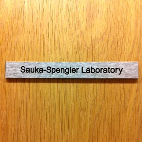 Sauka-Spengler Lab