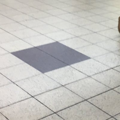 Google__browser's profile picture. 