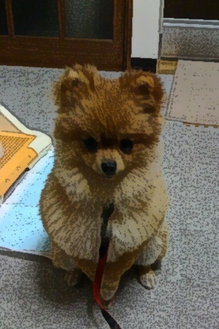 puma_kun's profile picture. こんにちは！こんにちは！