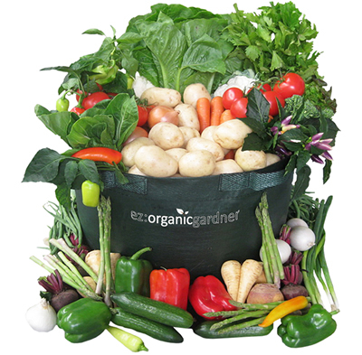 Pick fresh vine ripen fruits and vegetables right from your deck, porch, or patio.
Grow Organically with EZ Organic Gardener. Very simple and easy to use.
