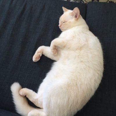 ilandsproblem__'s profile picture. 